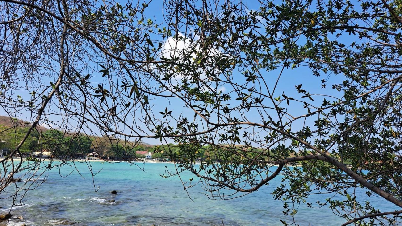 The C Samet Beach Resort Sha Plus Koh Samet Exteriör bild